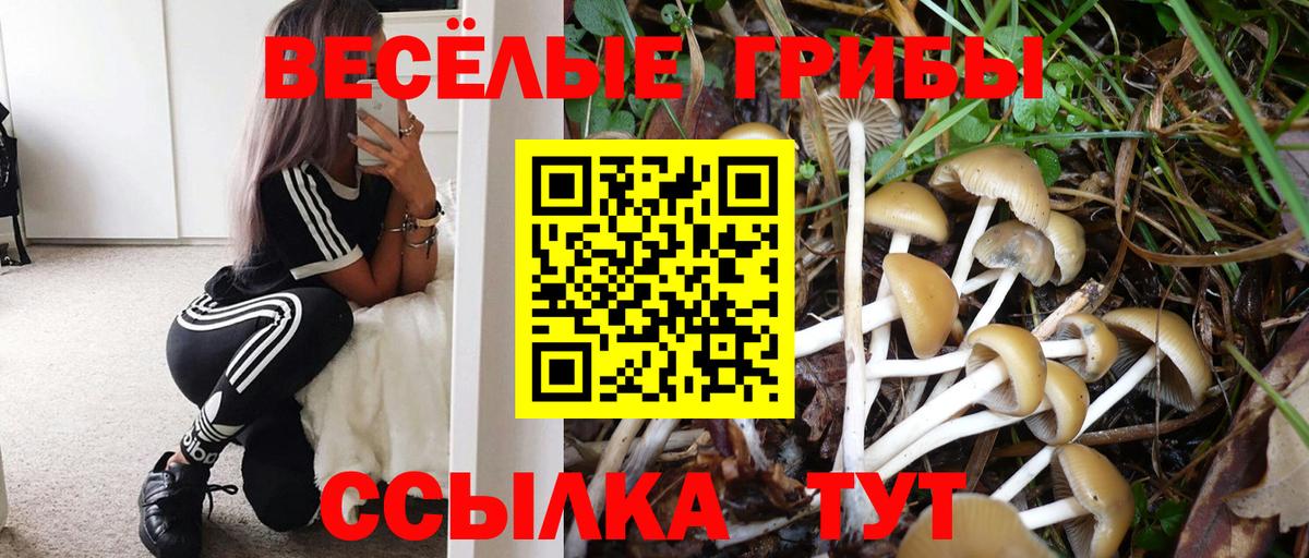 Карпинск  Псилоцибиновые грибы ЛСД  Вход с VPN 